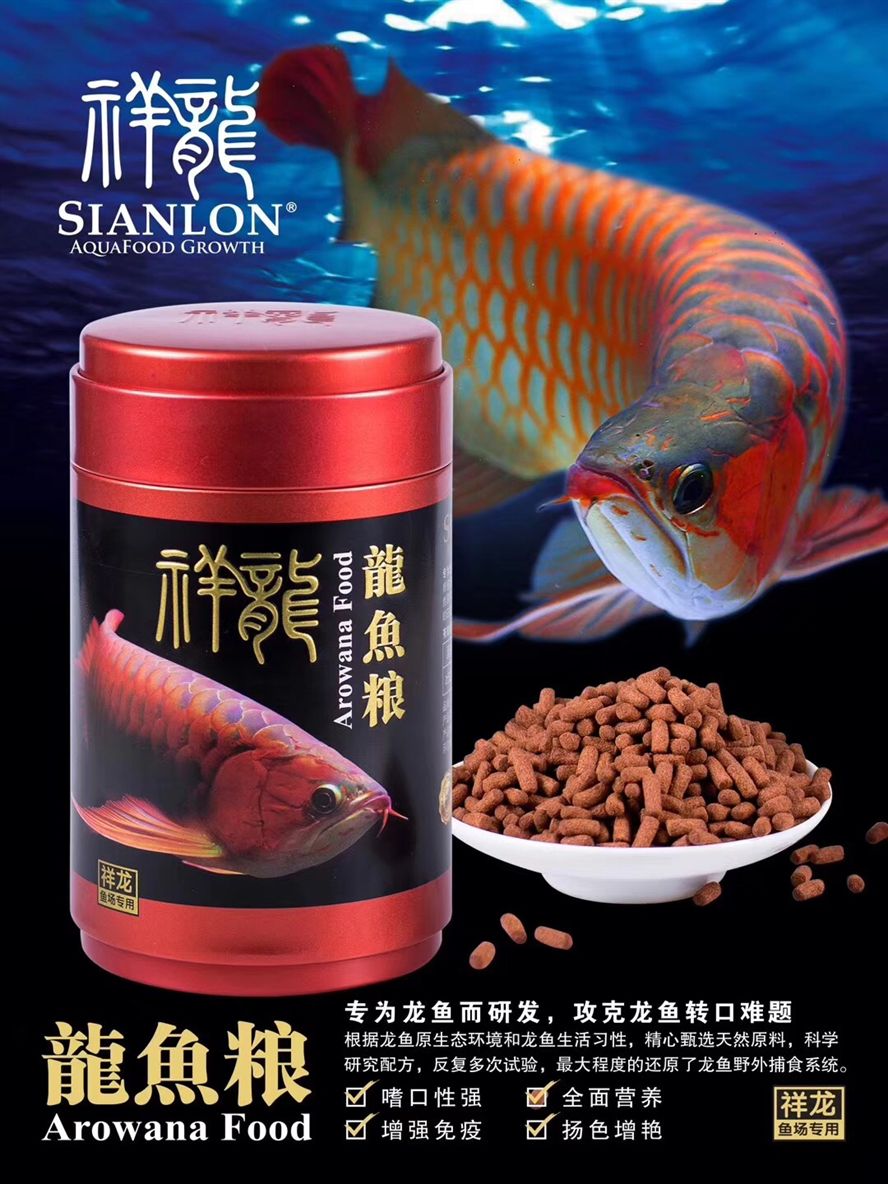 十大紅龍魚品牌排名榜最新：好評率為97%，品牌在京東揭曉