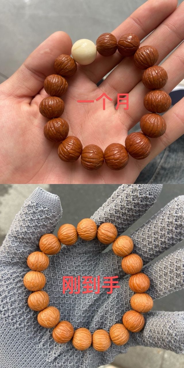 猴頭紅的真快啊