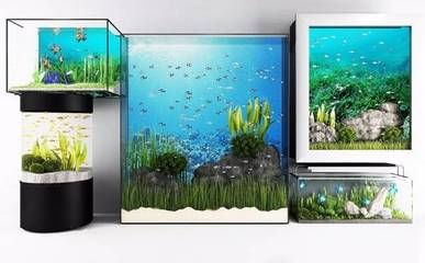 cad魚缸尺寸：cad設(shè)計(jì)魚缸尺寸選擇指南