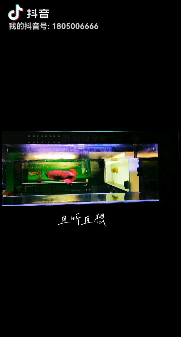 講故事，給情緒