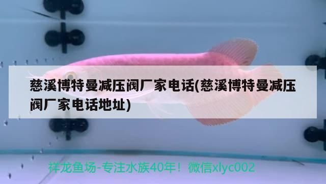 慈溪博特曼減壓閥廠家電話(慈溪博特曼減壓閥廠家電話地址)