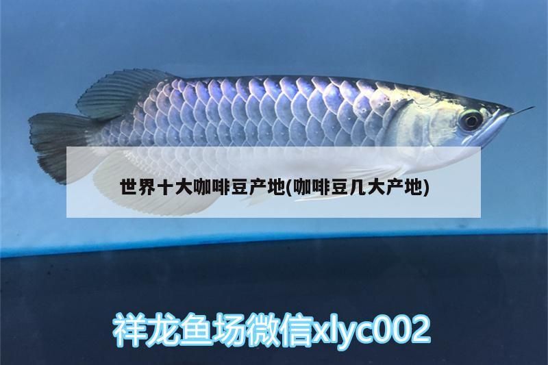 世界十大咖啡豆產(chǎn)地(咖啡豆幾大產(chǎn)地)