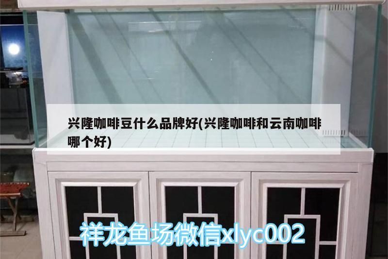 興隆咖啡豆什么品牌好(興隆咖啡和云南咖啡哪個(gè)好)