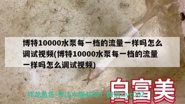 博特10000水泵每一檔的流量一樣嗎怎么調試視頻(博特10000水泵每一檔的流量一樣嗎怎么調試視頻)