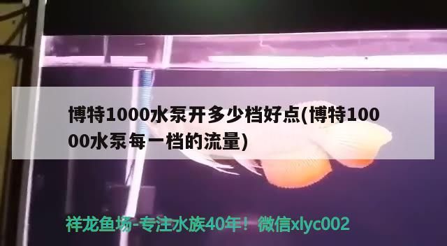 博特1000水泵開多少檔好點(博特10000水泵每一檔的流量)