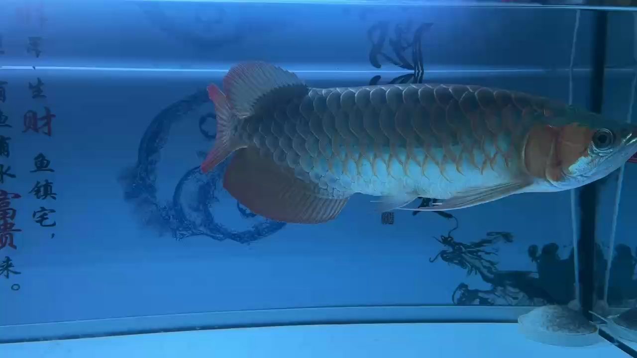 沒有細心的照顧。一年沒開燈了