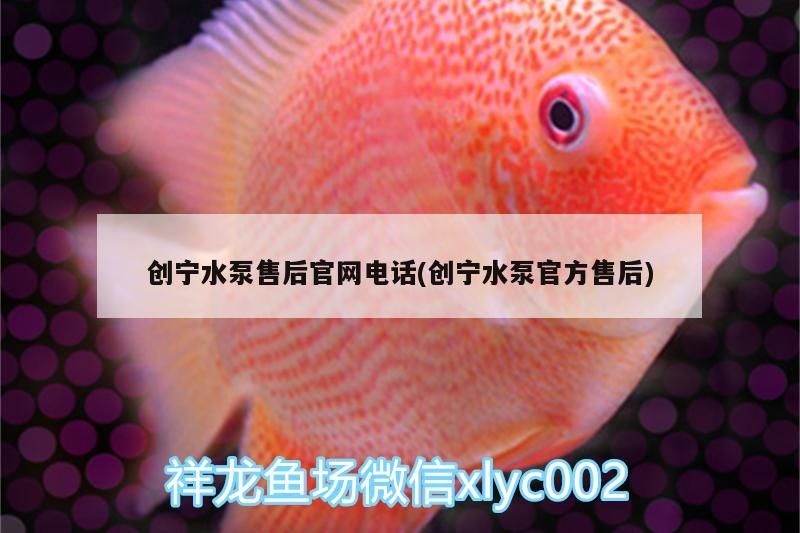 創寧水泵售后官網電話(創寧水泵官方售后)