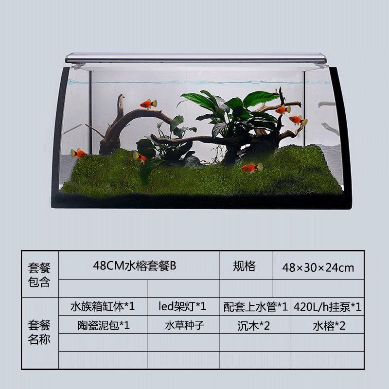 60魚缸適合造什么景：60魚缸適合養什么魚