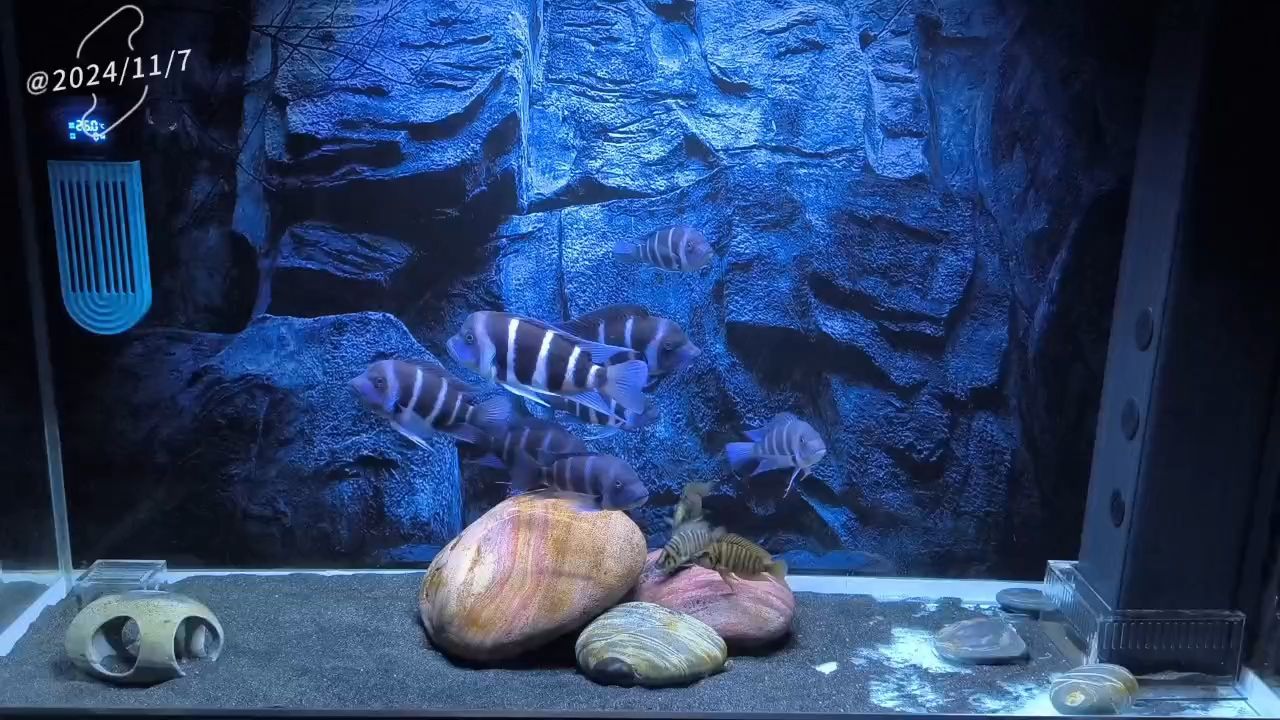 良辰美景奈何天
