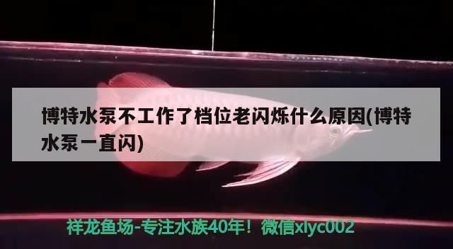 博特水泵不工作了檔位老閃爍什么原因(博特水泵一直閃)