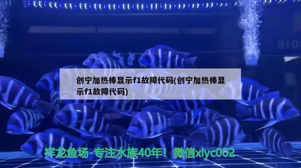 創寧加熱棒顯示f1故障代碼(創寧加熱棒顯示f1故障代碼)