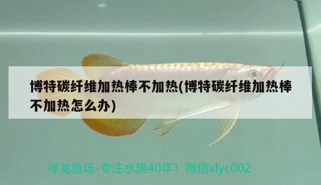 博特碳纖維加熱棒不加熱(博特碳纖維加熱棒不加熱怎么辦) 博特水族 博特碳纖維加熱棒不加熱(博特碳纖維加熱棒不加熱怎么辦) 博特碳纖維加熱棒不加熱(博特碳纖維加熱棒不加熱怎么辦) 博特水族