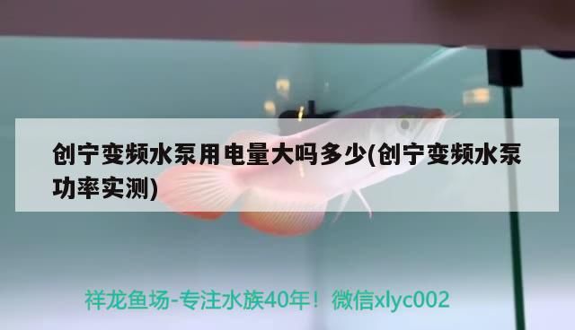 創寧變頻水泵用電量大嗎多少(創寧變頻水泵功率實測) 創寧變頻水泵用電量大嗎多少(創寧變頻水泵功率實測) 創寧水族