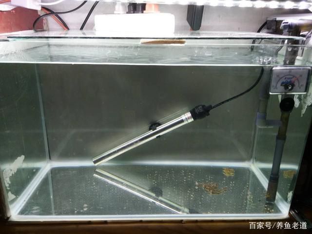8毫米厚的玻璃能做多大的魚缸用呢：8毫米厚的玻璃在制作魚缸時可能會有一定局限性