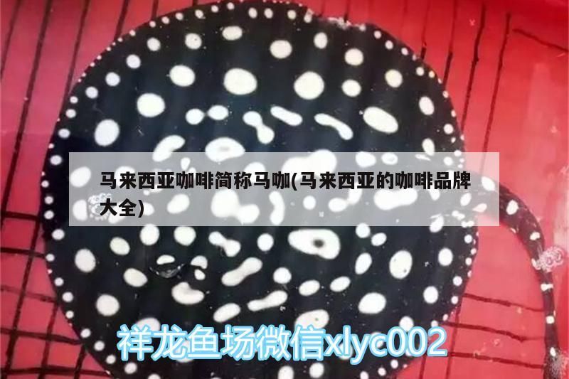 馬來西亞咖啡簡稱馬咖(馬來西亞的咖啡品牌大全)