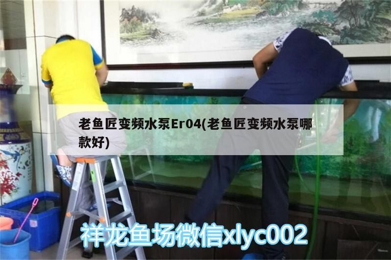 老魚匠變頻水泵Er04(老魚匠變頻水泵哪款好)