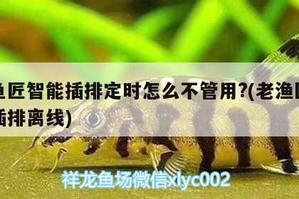 老魚匠智能插排定時怎么不管用?(老漁匠智能插排離線)