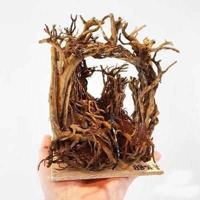 502膠能用在魚缸內(nèi)嗎？：502膠水在魚缸中的使用