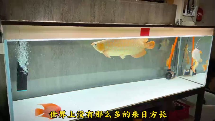 歲月蹉跎 感慨萬千