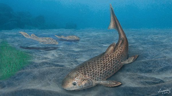 龍魚長到50公分需要多久?全面解析生長周期與影響因素,龍魚長到50公分需要多久?生長周期與關鍵因素全解析,龍魚長到50公分的生長周期與關鍵因素全解析 龍魚百科 第2張 龍魚長到50公分需要多久?全面解析生長周期與影響因素,龍魚長到50公分需要多久?生長周期與關鍵因素全解析,龍魚長到50公分的生長周期與關鍵因素全解析 龍魚長到50公分需要多久?全面解析生長周期與影響因素,龍魚長到50公分需要多久?生長周期與關鍵因素全解析,龍魚長到50公分的生長周期與關鍵因素全解析 龍魚百科 第2張