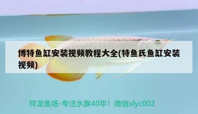 博特魚缸安裝視頻教程大全(特魚氏魚缸安裝視頻)