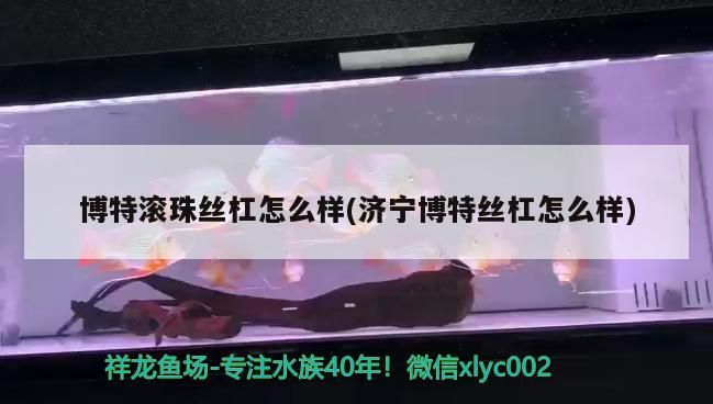 博特滾珠絲杠怎么樣(濟寧博特絲杠怎么樣)