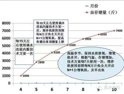 龍魚下蛋是什么兆頭？解讀這一神秘現象的象征意義，龍魚產卵的寓意解析，揭秘這一神秘現象的象征意義，龍魚產卵的寓意解析，揭秘這一神秘現象的象征意義