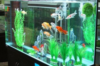 創寧變頻水泵抽不上水怎么回事（創寧變頻水泵抽不上水怎么回事兒）