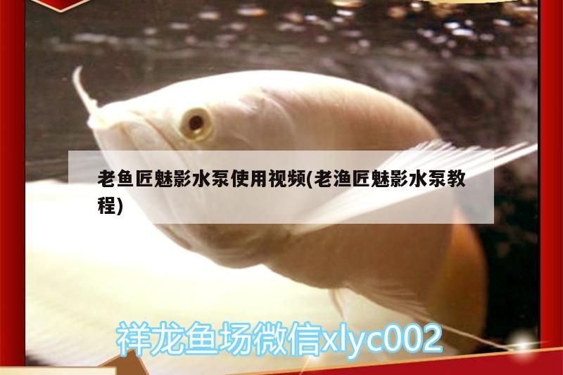 老魚匠魅影水泵使用視頻(老漁匠魅影水泵教程)
