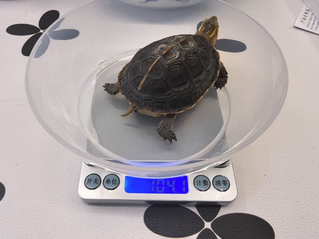 準備好，24年冬眠啦，25年見