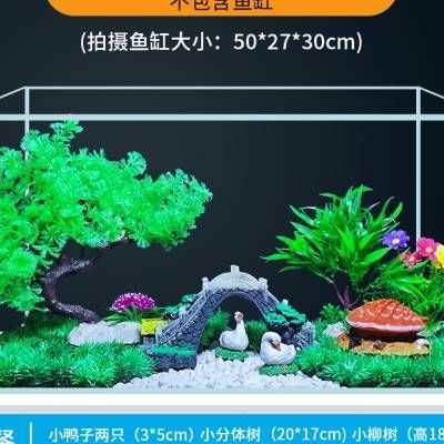 5厘米的魚需要多大的魚缸：關(guān)于魚缸尺寸的問(wèn)答