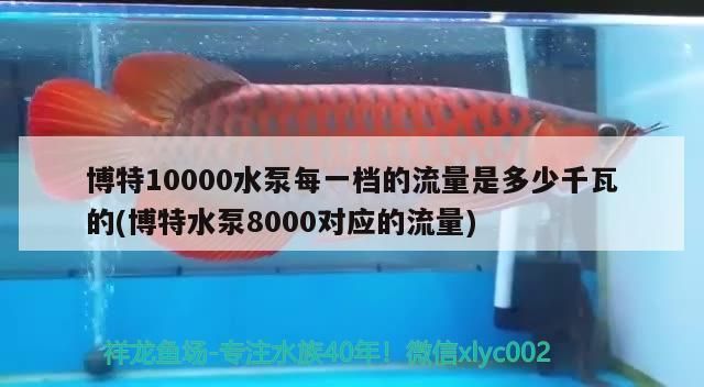 博特10000水泵每一檔的流量是多少千瓦的(博特水泵8000對(duì)應(yīng)的流量)