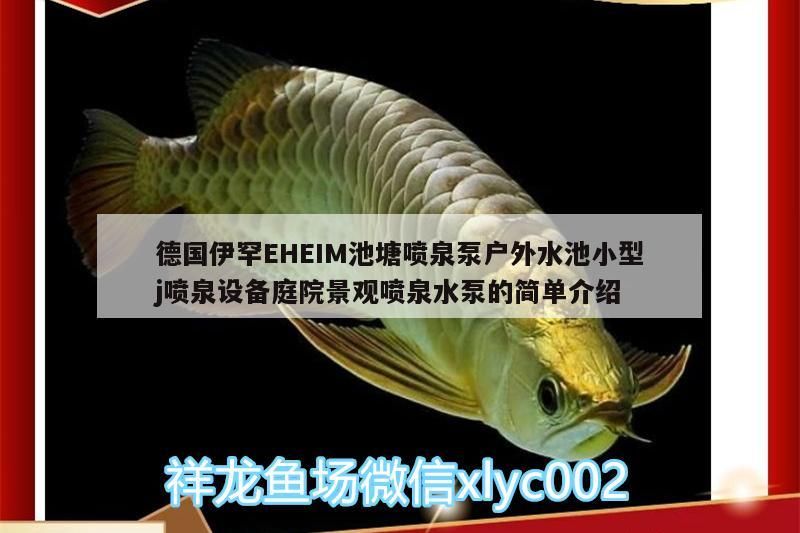 德國伊罕EHEIM池塘噴泉泵戶外水池小型j噴泉設(shè)備庭院景觀噴泉水泵的簡單介紹