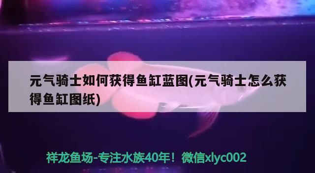 濮陽二手魚缸出售最新信息網(wǎng) 濮陽二手魚缸出售最新信息網(wǎng)站
