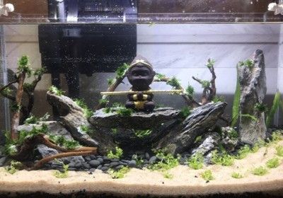 可麗愛魚缸官網七彩燈管變壓器（可麗愛魚缸燈設置說明書）