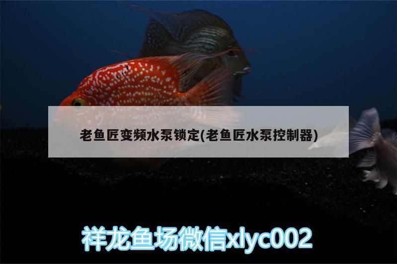 老魚匠變頻水泵鎖定(老魚匠水泵控制器)