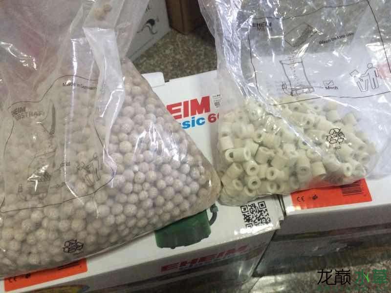 廣州魚缸批發市場買了伊罕600 廣州魚缸批發市場買了伊罕600 伊罕水族 第1張