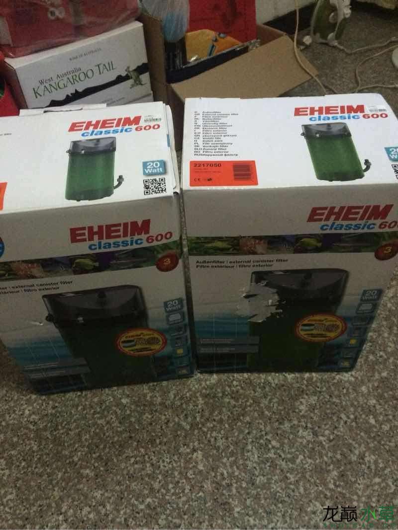廣州魚缸批發市場買了伊罕600 廣州魚缸批發市場買了伊罕600 伊罕水族 第2張