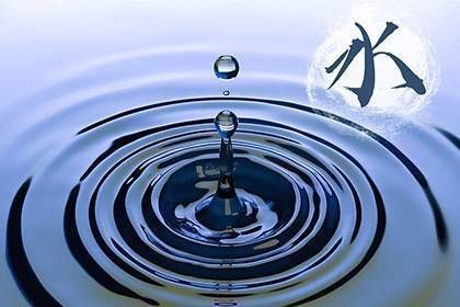 龍魚入缸幾天喂一次？科學(xué)喂養(yǎng)指南，龍魚入缸后幾天喂一次？科學(xué)喂養(yǎng)頻率與技巧，龍魚入缸后的科學(xué)喂養(yǎng)頻率與技巧指南