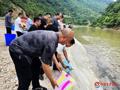 龍魚(yú)怕人狀態(tài)不好怎么辦？全面解析原因與解決方案