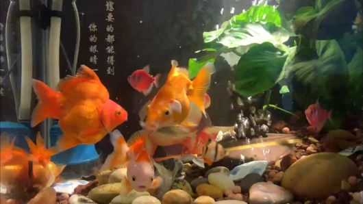 好久沒(méi)發(fā)貼了