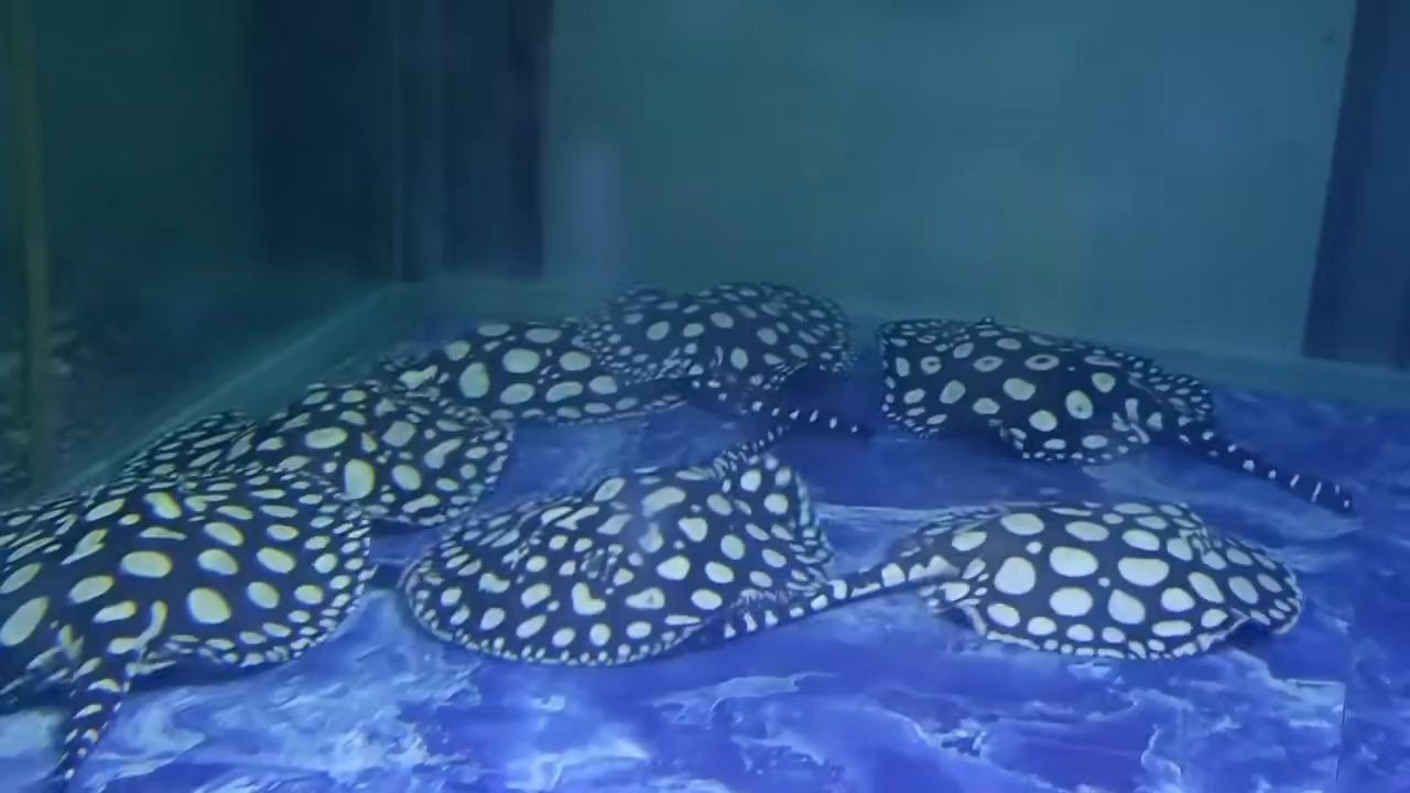 早安簽到