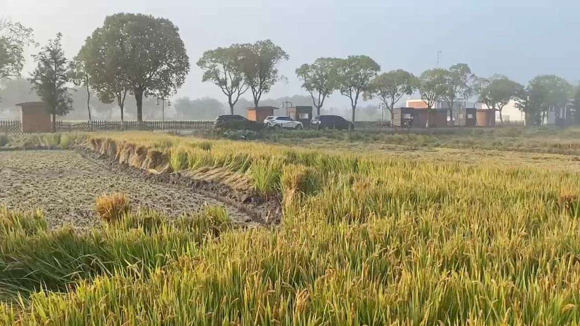 農村土地 農村土地 龍魚論壇 第1張
