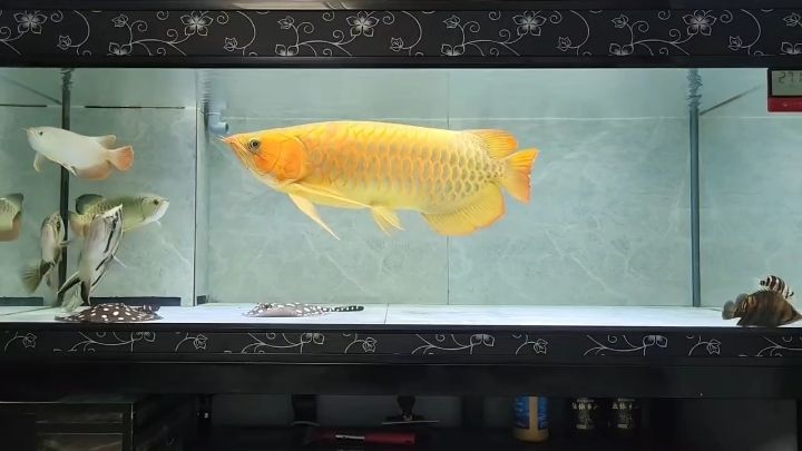 打卡記錄過程