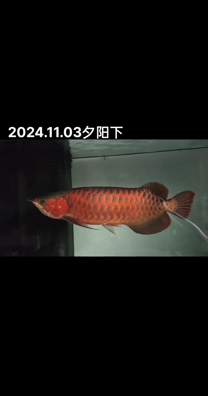 夕陽西下