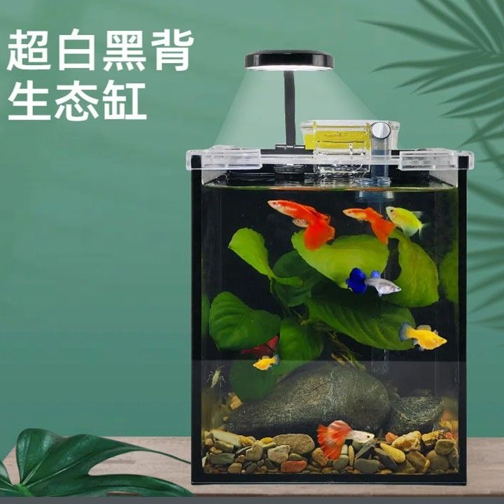 小魚缸斗魚缸