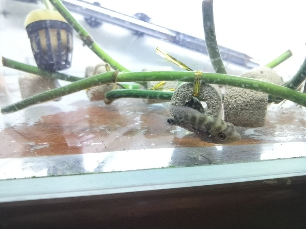 大家幫我看看有前途不
