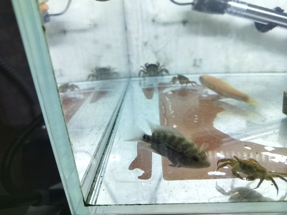 大家幫我看看有前途不