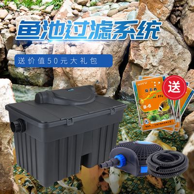 龍魚缸內(nèi)可以大量放小魚嗎？飼養(yǎng)龍魚的注意事項(xiàng)
