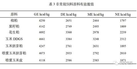 龍魚的象征意義，從東方文化到現代風水